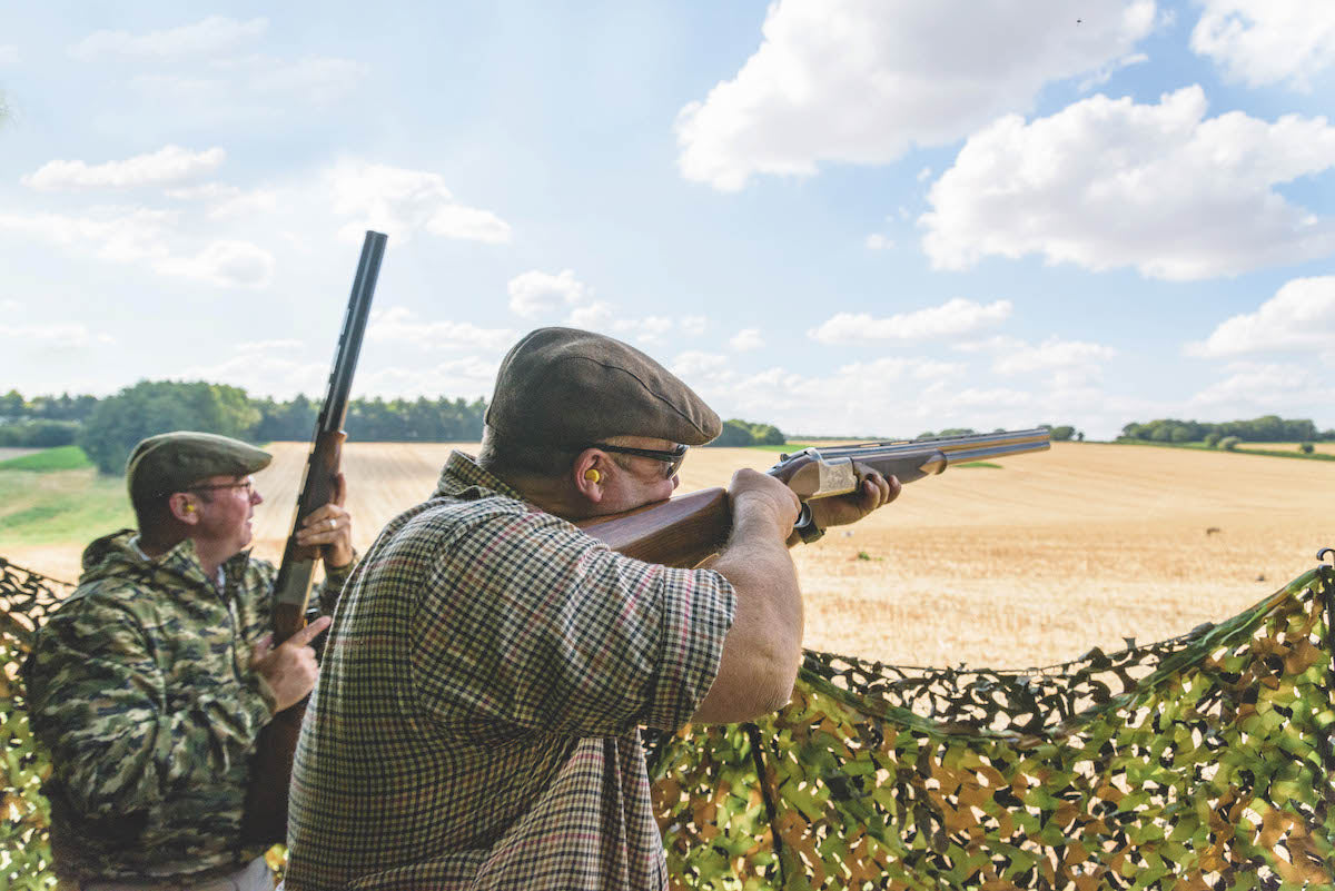 The Ultimate Guide to Pigeon Shooting