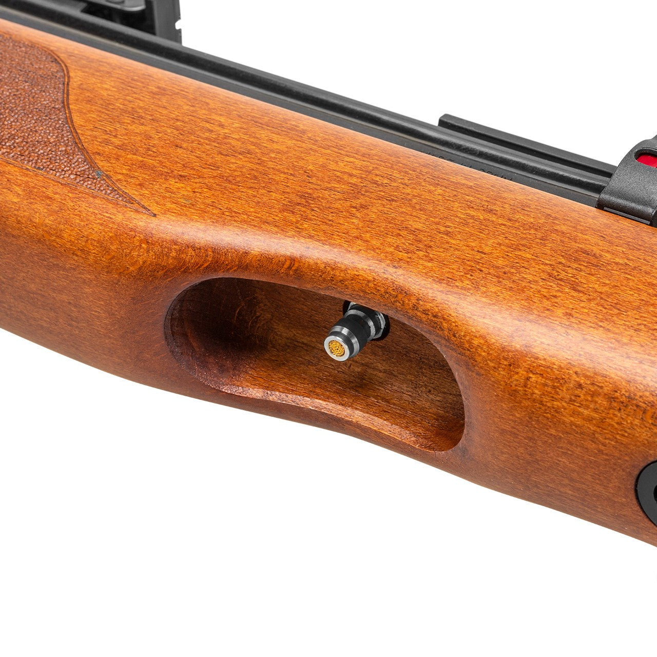 Gamo Riser PCP .22 Air Rifle