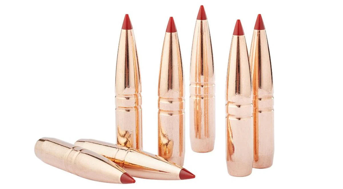 Hornady 6.5 Creedmoor 120gr CX® – Box of 20 Rounds